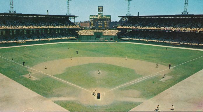 Oh, To Live By Dog Years