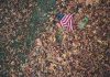 Disturbing USA flag on brown leaves