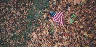 Disturbing USA flag on brown leaves