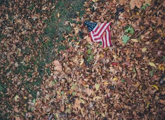Disturbing USA flag on brown leaves