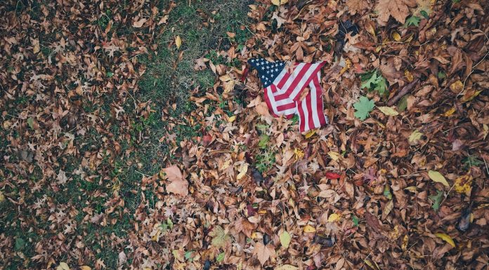Disturbing USA flag on brown leaves