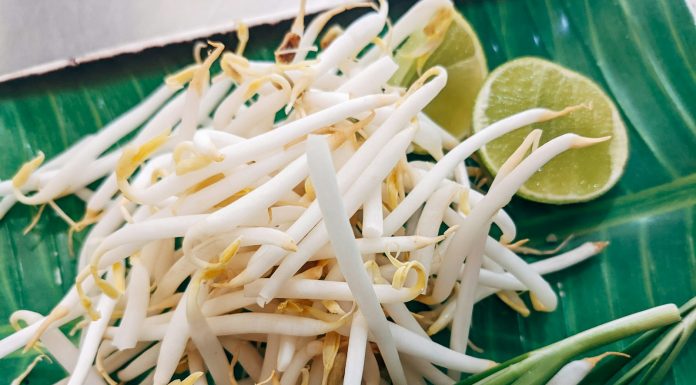 Full Contact Cold Wrestle a close up of a plate of food on a table