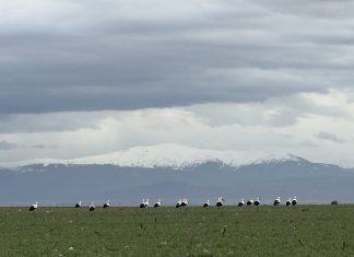 Four Spanish Winterscapes