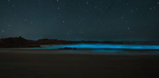 What am I going to say—