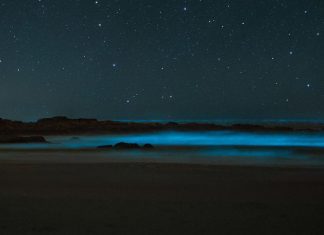 What am I going to say—