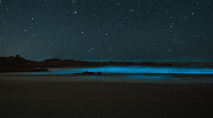 What am I going to say—