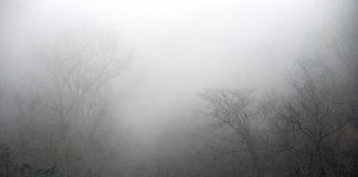 Jotting down the outline