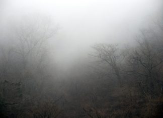 Jotting down the outline