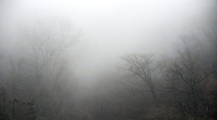 Jotting down the outline