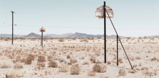 HAVING A CRUSH ON THE LINDA RONDSTADT OF 1977 a bunch of poles in the middle of a desert