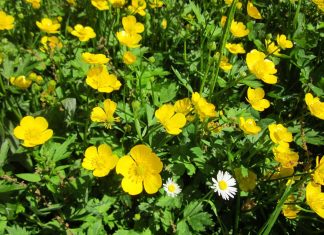 Excavation for burial