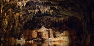 Nyctophilia Stalactites and stalagmites in a dark cave with water.