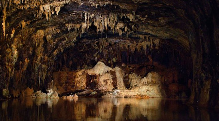 Nyctophilia Stalactites and stalagmites in a dark cave with water.