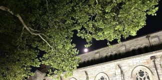Picking Apple from an Oak