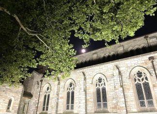 Picking Apple from an Oak