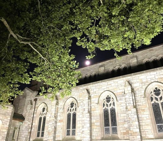 Picking Apple from an Oak