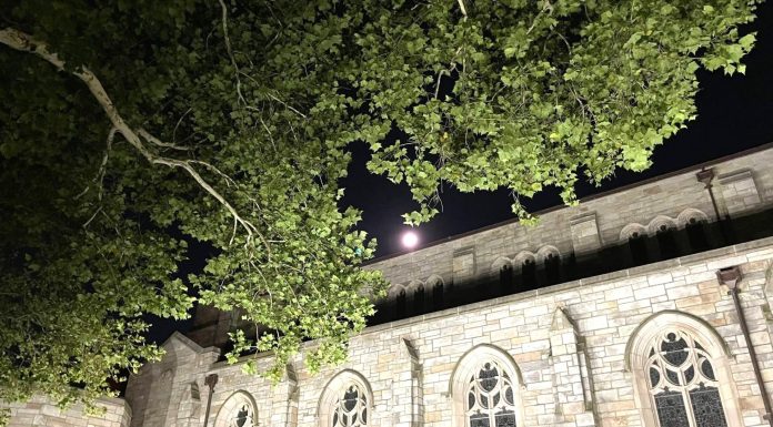 Picking Apple from an Oak
