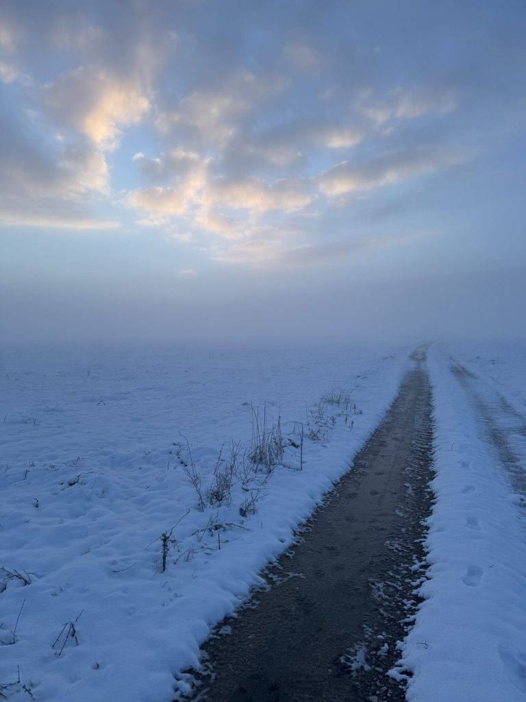 Winterscape 2
