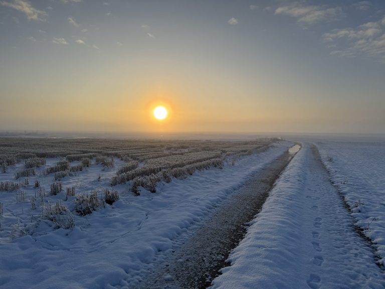 Winterscape 