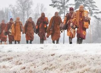 Today is going to be my peaceful day