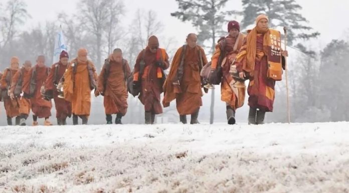 Today is going to be my peaceful day