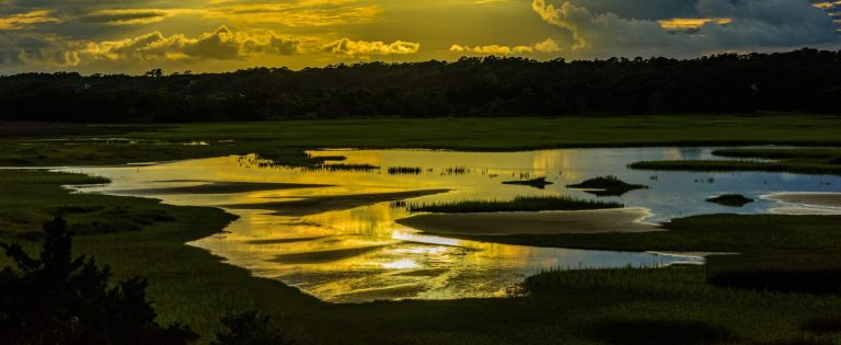 Marsh Bombing