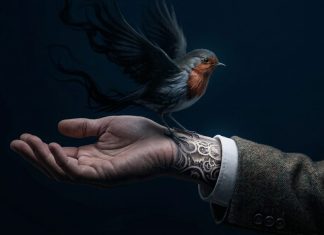 Magic Rabbits