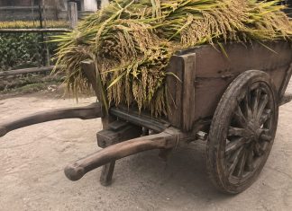 on a wheel and a prayer