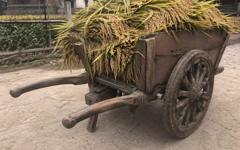 on a wheel and a prayer
