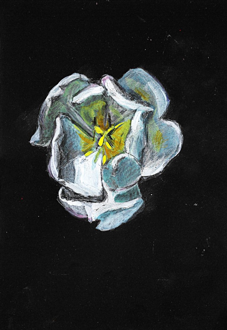 Night Bloom Gouache on paper 15x21 cm