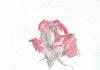 A Gallery of Twelve Paintings and Drawings by Zoe Nikolopoulou