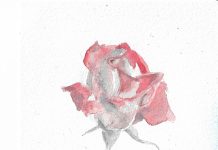 A Gallery of Twelve Paintings and Drawings by Zoe Nikolopoulou