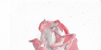 A Gallery of Twelve Paintings and Drawings by Zoe Nikolopoulou