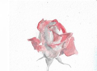 A Gallery of Twelve Paintings and Drawings by Zoe Nikolopoulou