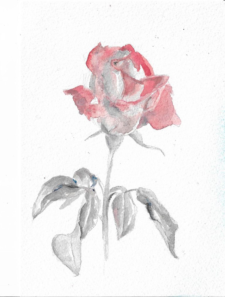 A Gallery of Twelve Paintings and Drawings by Zoe Nikolopoulou