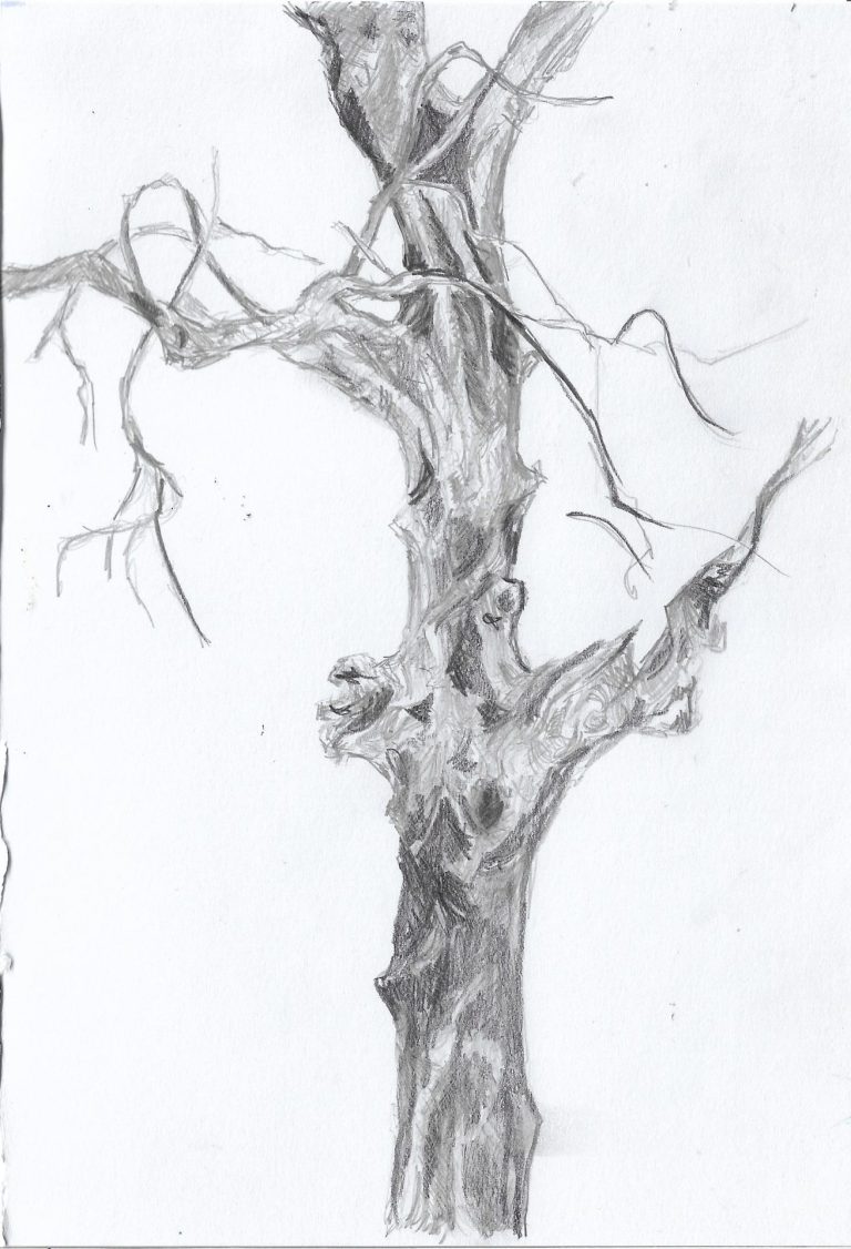 What Survives pencil on paper 15 x 21 cm