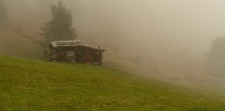 Meeting an Old Friend After Twenty Years