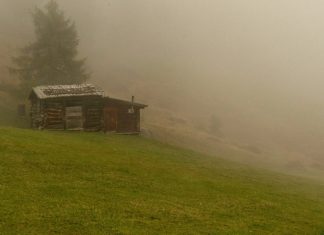 Meeting an Old Friend After Twenty Years