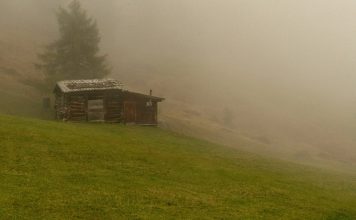 Meeting an Old Friend After Twenty Years