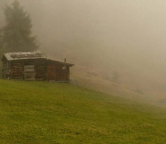 Meeting an Old Friend After Twenty Years