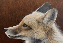 Six Acrylic Nature Paintings by Vincent Bihn II