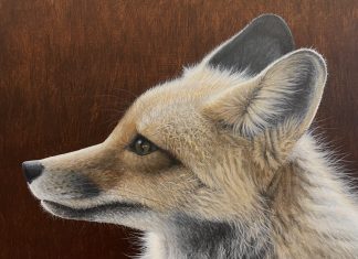 Six Acrylic Nature Paintings by Vincent Bihn II