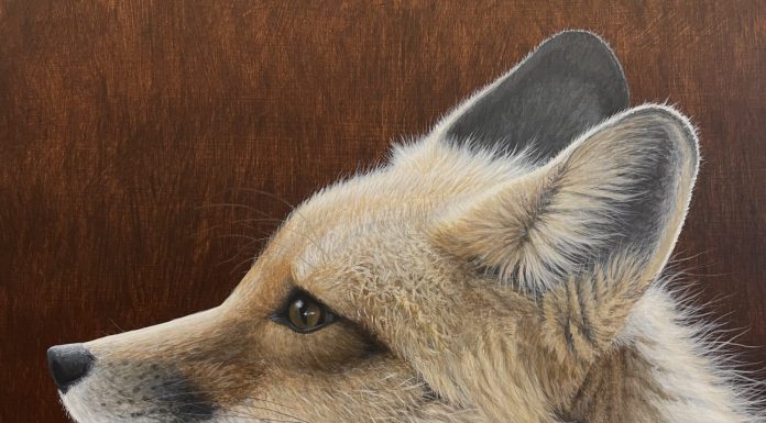 Six Acrylic Nature Paintings by Vincent Bihn II