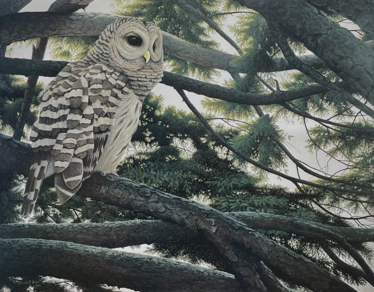 Six Acrylic Nature Paintings by Vincent Bihn II