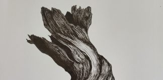 Kyn #1