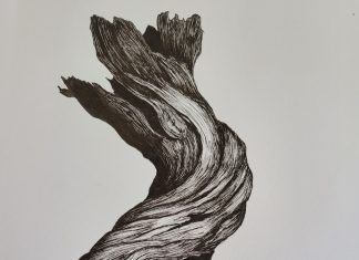 Kyn #1