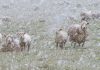 A Gallery of Twelve New Zealand Photographs by John Austin, 2019-2025