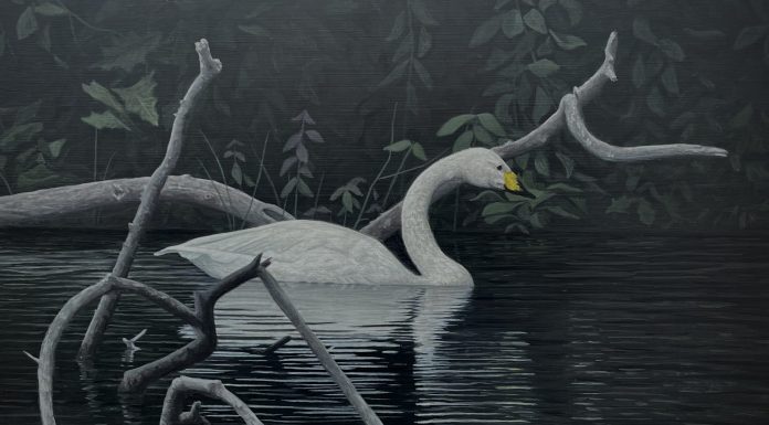 Four Acrylic Nature Paintings by Vincent Bihn II