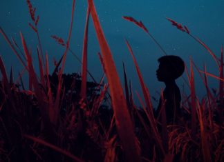 The thin sheen of fear glowing up and out from every single one of us