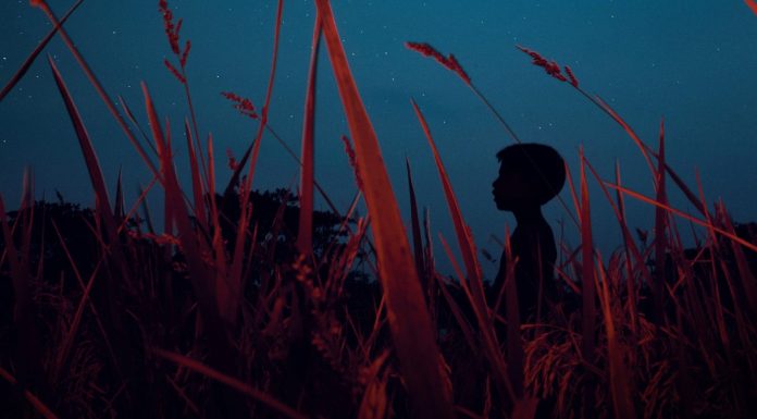 The thin sheen of fear glowing up and out from every single one of us